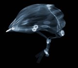 Велосипедний шолом, рентген, радіологічне сканування — стокове фото