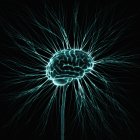 Sistema nervioso humano, ilustración por ordenador - foto de stock