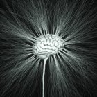 Sistema nervioso humano, ilustración por ordenador - foto de stock
