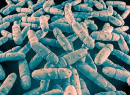 Illustration of Klebsiella pneumoniae bacteria. K. pneumoniae are Gram-negative, encapsulated, non-motile, enteric, rod-shaped bacteria. This species causes Friedlander's pneumonia and urinary tract infections — Stock Photo
