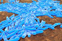 Ілюстрація бактерій Mycobacterium tuberculosis, грам-позитивних паличкоподібних бактерій, які викликають захворювання туберкульозу. Хвороба вражає легені, а деколи й інші частини тіла. — стокове фото