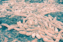 Ilustración de la bacteria Mycobacterium tuberculosis, la bacteria Gram-positiva en forma de barra que causa la enfermedad tuberculosis (TB). La enfermedad afecta los pulmones y, a veces, otras partes del cuerpo - foto de stock