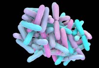 Біфідобактерія, комп'ютерна ілюстрація. Біфідобактерії це грампозитивні анаеробні бактерії, які живуть в шлунково-кишковому тракті, піхві та роті — стокове фото