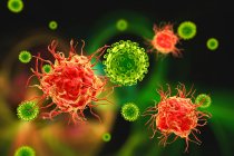 Взаємодія між вірусом і дендритною клітиною, комп'ютерна ілюстрація. Дендритні клітини відіграють вирішальну роль у ініціюванні імунних реакцій проти вірусів. Вони розпізнають вхідні віруси і представляють свої антигени Т-клітинам . — стокове фото