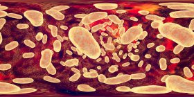 Porphyromonas gingivalis оральной бактерии, 360 градусов панорамы просмотра компьютерной иллюстрации. P. gingivalis (ранее известный как Bacteroides gingivalis) является частью нормальной флоры полости рта, кишечника и мочеполовых путей. — стоковое фото