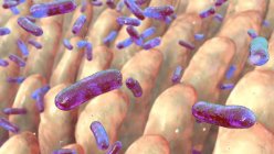 Computer illustration of bacteria on the surface of intestinal villi — Stock Photo