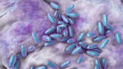 Bactérias praga (Yersinia pestis), ilustração do computador. Y. pestis são bactérias gram-negativas da família Enterobacteriaceae, têm uma forma ovóide com coloração bipolar (mais intensamente coradas em pólos) — Fotografia de Stock