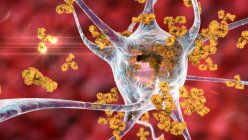 Anticorpos a atacar neurónios. Ilustração computacional conceitual de doenças neurológicas autoimunes — Fotografia de Stock