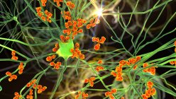 Antikörper greifen Neuronen an. Konzeptionelle Computerillustration neurologischer Autoimmunerkrankungen — Stockfoto
