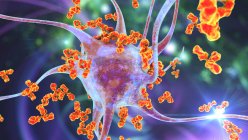 Антитіла, що атакують нейрони. Концептуальна комп'ютерна ілюстрація аутоімунних неврологічних захворювань — стокове фото