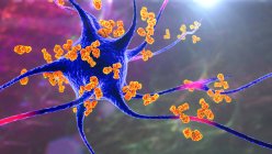 Anticorpos a atacar neurónios. Ilustração computacional conceitual de doenças neurológicas autoimunes — Fotografia de Stock