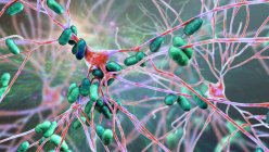 Bakterielle Enzephalitis. Konzeptionelle Computerillustration zeigt Bakterien, die Gehirnzellen infizieren — Stockfoto
