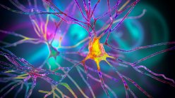 Neurônios piramidais do córtex cerebral humano, ilustração computacional — Fotografia de Stock