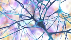 Neuronas piramidales de la corteza cerebral humana, ilustración por ordenador - foto de stock