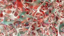 Ілюстрація кісткової структури, ураженої остеопорозом. Видимість матриці кісток — стокове фото
