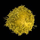 Раковые клетки желудка, компьютерная иллюстрация — стоковое фото