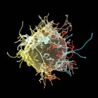 Cellules cancéreuses, illustration informatique — Photo de stock