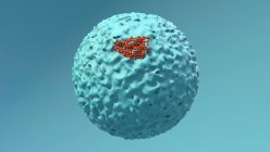 Particules de coronavirus infectant une cellule humaine, illustration informatique — Photo de stock