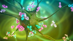 Anticuerpos atacando neuronas. Ilustración computacional conceptual de enfermedades neurológicas autoinmunes - foto de stock