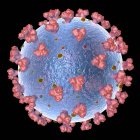 Covid-19 coronavirus particle, комп'ютерна ілюстрація. Новий коронавірус SARS-CoV-2 (раніше 2019-CoV) з'явився в Ухані, Китай, в грудні 2019 року. — стокове фото