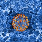 Covid-19 coronavirus particles, computer illustration. The new coronavirus SARS-CoV-2 (previously 2019-CoV) emerged in Wuhan, China, in December 2019 — Stock Photo
