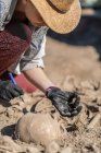 Археолог розкопав стародавні людські останки на археологічному місці . — стокове фото