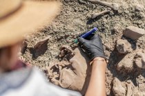 Escavações arqueológicas. Arqueólogo realizando pesquisas sobre ossos humanos antigos. — Fotografia de Stock