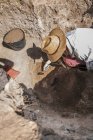 Archaeologist digging with hand trowel, recovering pottery from an archaeological site. - foto de stock
