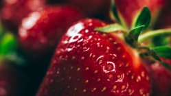 Primer plano de fresas frescas - foto de stock
