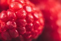 Close-up de framboesas frescas — Fotografia de Stock