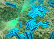 3d illustration of Pseudomonas aeruginosa bacteria showing internal structure. These Gram-negative rod-shaped bacteria are found in soil, water and as normal flora in the human intestine — Stock Photo