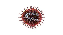 Ilustración 3D que muestra la estructura de un coronavirus. - foto de stock