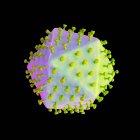 Vírus da peste suína africana, ilustração. Este vírus é membro do grupo do iridovírus que causa a peste suína africana, febre hemorrágica em suínos com elevada taxa de mortalidade — Fotografia de Stock