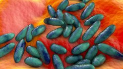 Bacterias de la peste (Yersinia pestis), ilustración por ordenador. - foto de stock