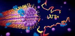 Proteine che si piegano nella loro struttura tridimensionale, illustrazione. — Foto stock
