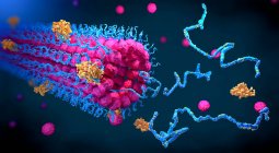 Proteine falten sich in ihre dreidimensionale Struktur, Abbildung. — Stockfoto