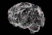 Нейронная сеть мозга, компьютерная иллюстрация. — стоковое фото