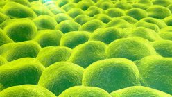 Шар клітин, комп'ютерна ілюстрація — стокове фото
