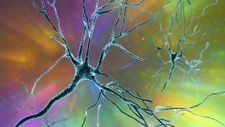 Пірамідальні нейрони (перекриті клітини) лобової кори головного мозку людини, комп'ютерна ілюстрація — стокове фото