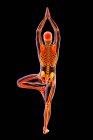Illustration of the skeleton of a person in the tree pose, or Vrikshasana. — Stock Photo