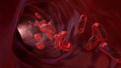 Glóbulos rojos (eritrocitos) en un vaso sanguíneo, ilustración. - foto de stock