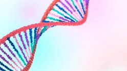 DNA (deoxyribonucleic acid) molecule, illustration. — Stock Photo