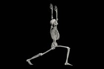 Анатомія воїна 1 поза, або Virabhadrasana 1. Комп'ютерна ілюстрація, що показує чоловіче тіло з підсвіченим скелетом, що демонструє скелетну активність цієї пози йоги . — стокове фото