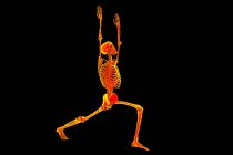 Анатомія воїна 1 пози, або вірабадрасана 1. Комп'ютерна ілюстрація, що показує чоловіче тіло з виділеним скелетом демонструє скелетну активність цієї пози йоги.. — стокове фото