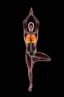 Ілюстрація скелета людини в позі йоги на дереві, або vrikshana, з підсвіченими легенями, комп'ютерними малюнками. Дихальні вправи та медитація для відновлення та профілактики ковадла-19 . — стокове фото