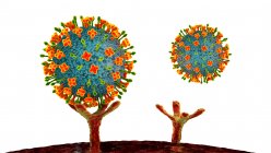 Illustrazione dei virus Nipah che si legano ai recettori sulle cellule umane, una fase iniziale dell'infezione da Nipah. Il virus Nipah è zoonotico (trasmesso all'uomo da animali) ed è stato trovato per la prima volta in Malesia e Singapore — Foto stock