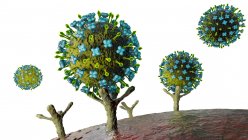 Illustration von Nipah-Viren, die an Rezeptoren auf menschlichen Zellen binden, einem Anfangsstadium der Nipah-Infektion. Nipah-Virus ist Zoonose (von Tieren auf Menschen übertragen) und wurde zuerst in Malaysia und Singapur gefunden — Stockfoto