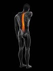 Человек с болью в спине, компьютерная иллюстрация — стоковое фото