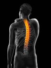 Hombre con dolor de espalda, ilustración por ordenador - foto de stock