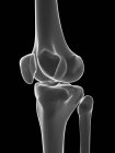 Articulación de rodilla, ilustración por ordenador - foto de stock